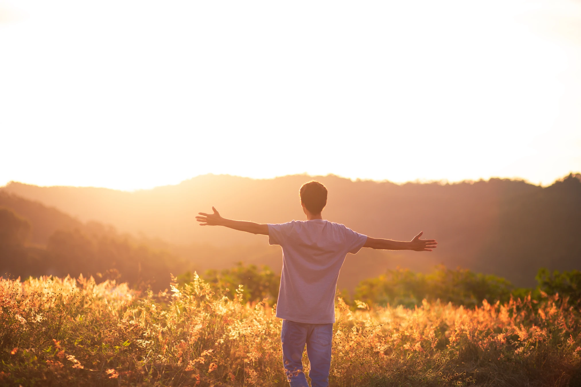 Youthful male has arms out in a field and stares towards the sunset